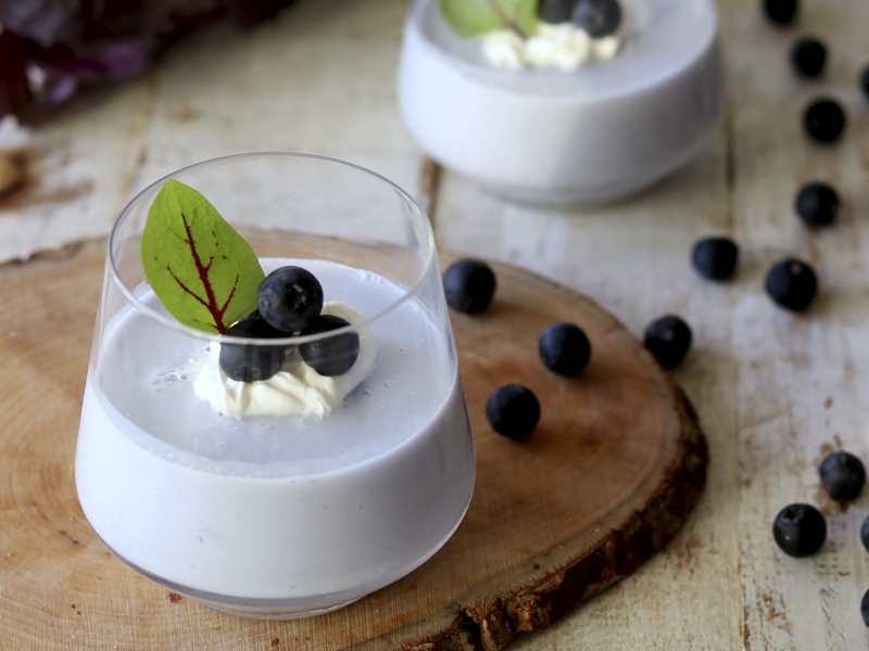 receita de pudim proteico de quark gelatina e claras de ovo em pó dovo