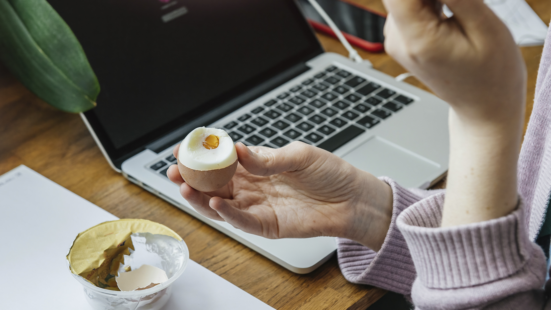 Ovos cozidos com casca solo Dovo